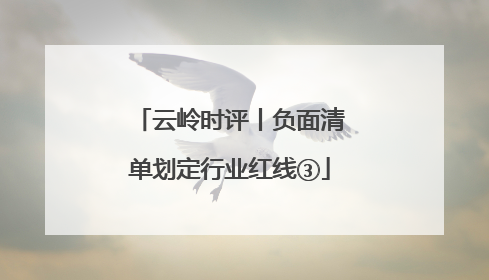 云岭时评丨负面清单划定行业红线③