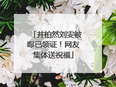 井柏然刘雯被曝已领证！网友集体送祝福