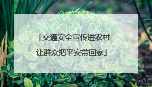 交通安全宣传进农村 让群众把平安带回家