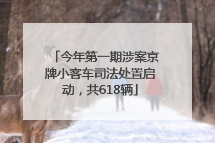 今年第一期涉案京牌小客车司法处置启动，共618辆