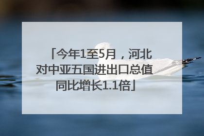 今年1至5月，河北对中亚五国进出口总值同比增长1.1倍