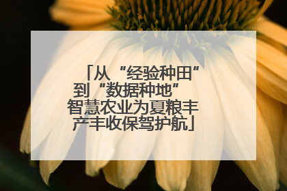 从“经验种田”到“数据种地” 智慧农业为夏粮丰产丰收保驾护航