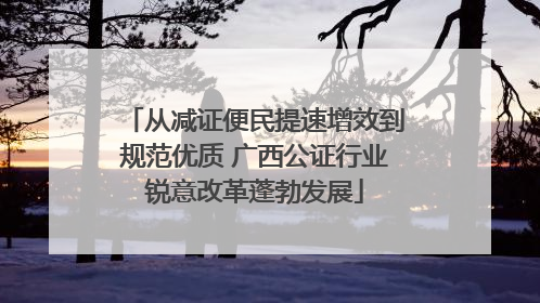 从减证便民提速增效到规范优质 广西公证行业锐意改革蓬勃发展