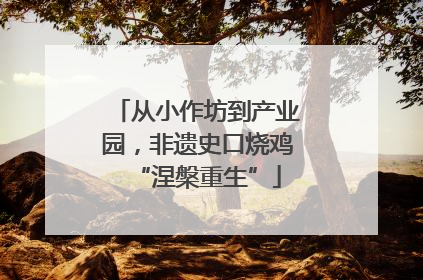 从小作坊到产业园，非遗史口烧鸡“涅槃重生”
