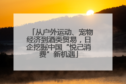 从户外运动、宠物经济到酒类贸易，日企挖掘中国“悦己消费”新机遇