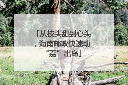 从枝头甜到心头，海南邮政快速助“荔”出岛