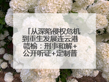 从深陷侵权危机到重生发展连云港赣榆：刑事和解+公开听证+定制普法，让玩具公司回到正轨