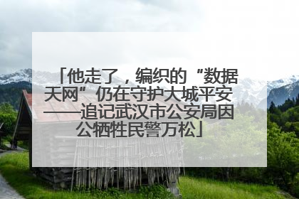 他走了，编织的“数据天网”仍在守护大城平安——追记武汉市公安局因公牺牲民警万松
