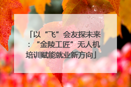 以“飞”会友探未来：“金陵工匠”无人机培训赋能就业新方向