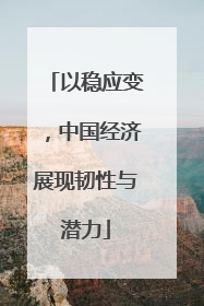 以稳应变，中国经济展现韧性与潜力