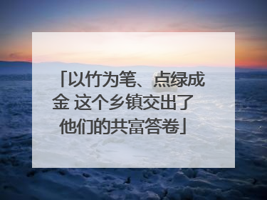 以竹为笔、点绿成金 这个乡镇交出了他们的共富答卷