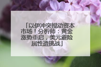 以伊冲突搅动资本市场！分析师：黄金涨势重启，美元避险属性遭挑战