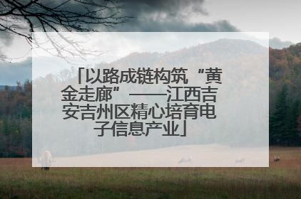 以路成链构筑“黄金走廊”——江西吉安吉州区精心培育电子信息产业