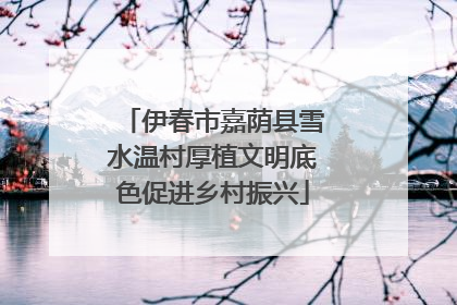 伊春市嘉荫县雪水温村厚植文明底色促进乡村振兴