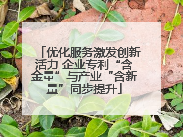 优化服务激发创新活力 企业专利“含金量”与产业“含新量”同步提升