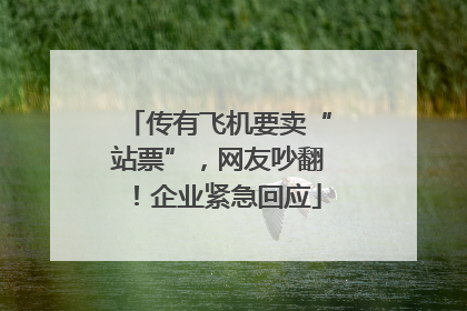 传有飞机要卖“站票”，网友吵翻！企业紧急回应