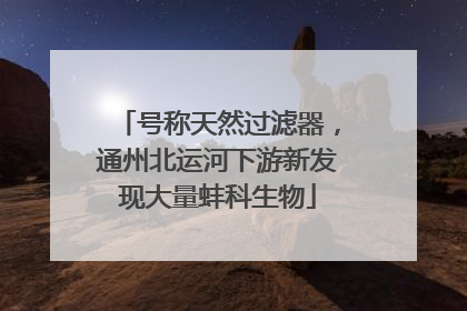 号称天然过滤器，通州北运河下游新发现大量蚌科生物