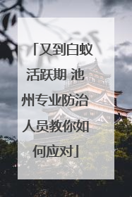 又到白蚁活跃期 池州专业防治人员教你如何应对