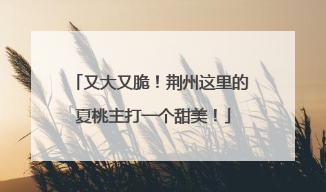 又大又脆！荆州这里的夏桃主打一个甜美！