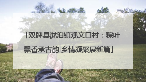 双牌县泷泊镇观文口村：粽叶飘香承古韵 乡情凝聚展新篇
