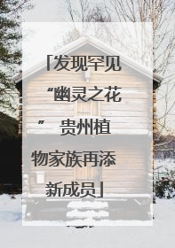 发现罕见“幽灵之花” 贵州植物家族再添新成员