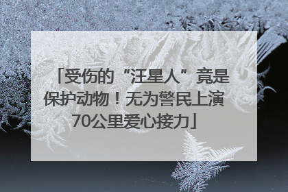 受伤的“汪星人”竟是保护动物！无为警民上演70公里爱心接力