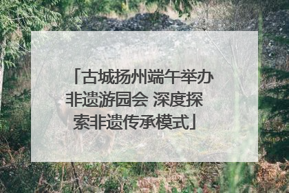 古城扬州端午举办非遗游园会 深度探索非遗传承模式