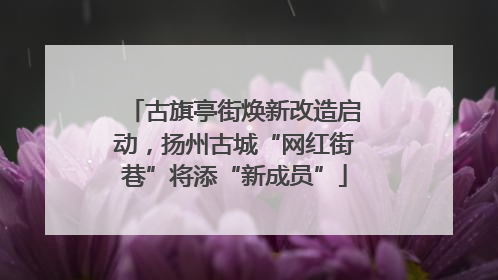古旗亭街焕新改造启动，扬州古城“网红街巷”将添“新成员”
