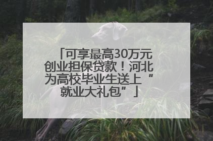 可享最高30万元创业担保贷款！河北为高校毕业生送上“就业大礼包”