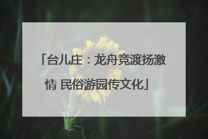 台儿庄：龙舟竞渡扬激情 民俗游园传文化