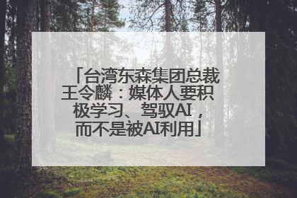 台湾东森集团总裁王令麟：媒体人要积极学习、驾驭AI，而不是被AI利用