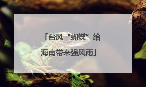 台风“蝴蝶”给海南带来强风雨