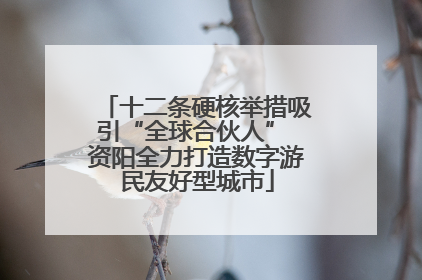 十二条硬核举措吸引“全球合伙人” 资阳全力打造数字游民友好型城市
