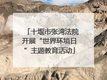 十堰市张湾法院开展“世界环境日”主题教育活动