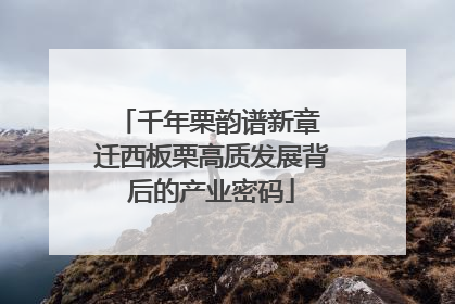 千年栗韵谱新章 迁西板栗高质发展背后的产业密码