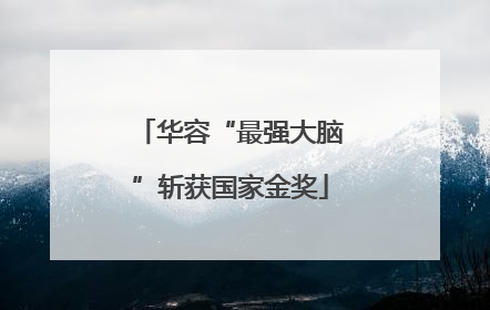 华容“最强大脑”斩获国家金奖