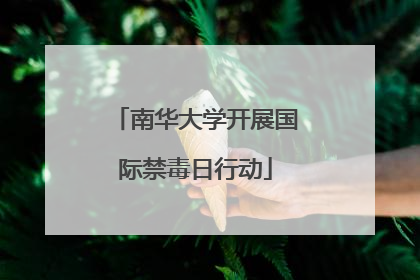 南华大学开展国际禁毒日行动