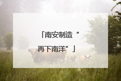 南安制造“再下南洋”