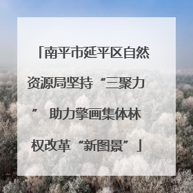 南平市延平区自然资源局坚持“三聚力” 助力擎画集体林权改革“新图景”