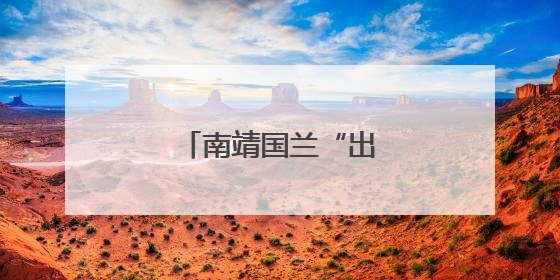 南靖国兰“出海”闯世界