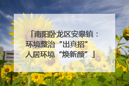 南阳卧龙区安皋镇：环境整治“出真招” 人居环境“焕新颜”