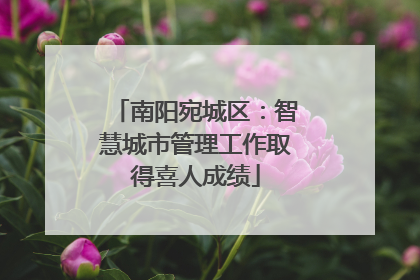 南阳宛城区：智慧城市管理工作取得喜人成绩