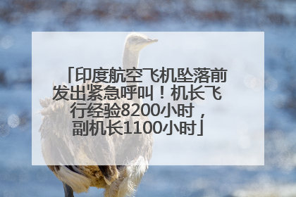 印度航空飞机坠落前发出紧急呼叫！机长飞行经验8200小时，副机长1100小时