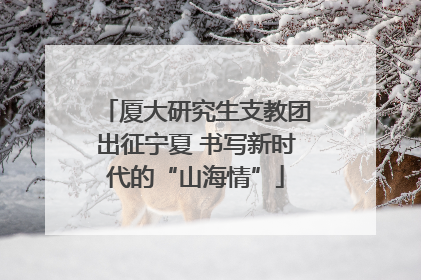厦大研究生支教团出征宁夏 书写新时代的“山海情”