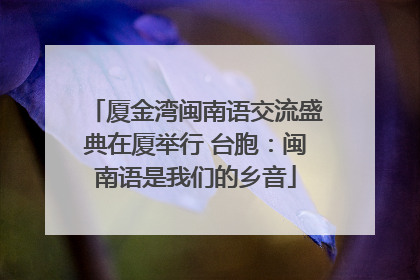 厦金湾闽南语交流盛典在厦举行 台胞：闽南语是我们的乡音
