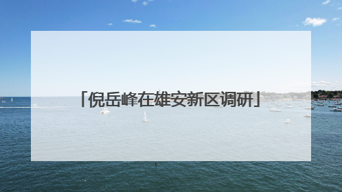 倪岳峰在雄安新区调研