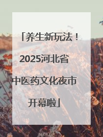养生新玩法！2025河北省中医药文化夜市开幕啦