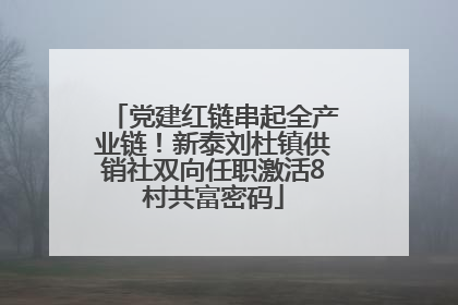 党建红链串起全产业链！新泰刘杜镇供销社双向任职激活8村共富密码