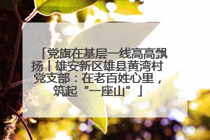 党旗在基层一线高高飘扬丨雄安新区雄县黄湾村党支部：在老百姓心里，筑起“一座山”