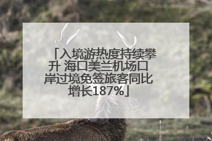 入境游热度持续攀升 海口美兰机场口岸过境免签旅客同比增长187%
